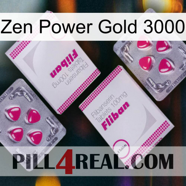 Zen Power Gold 3000 33.jpg